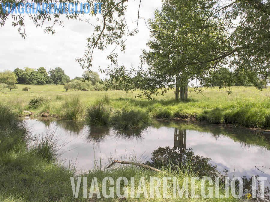 Richmond Park, Londra