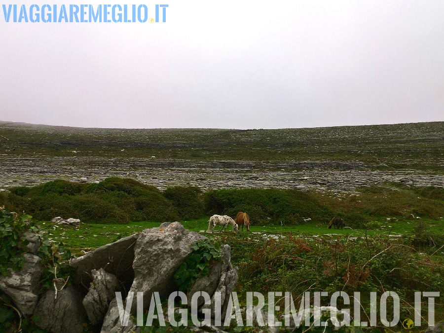 Faro Black Head, Burren, Irlanda