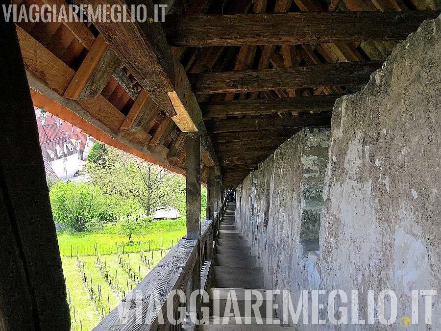 Castello di Esslingen am Neckar, Germania