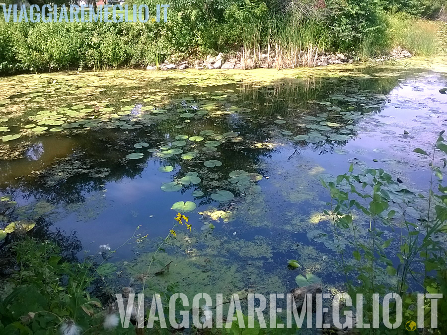 Arboretum di Madison, Wisconsin