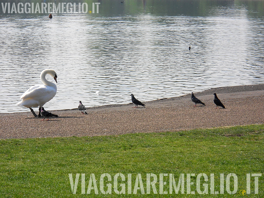 Kensington Gardens, Londra