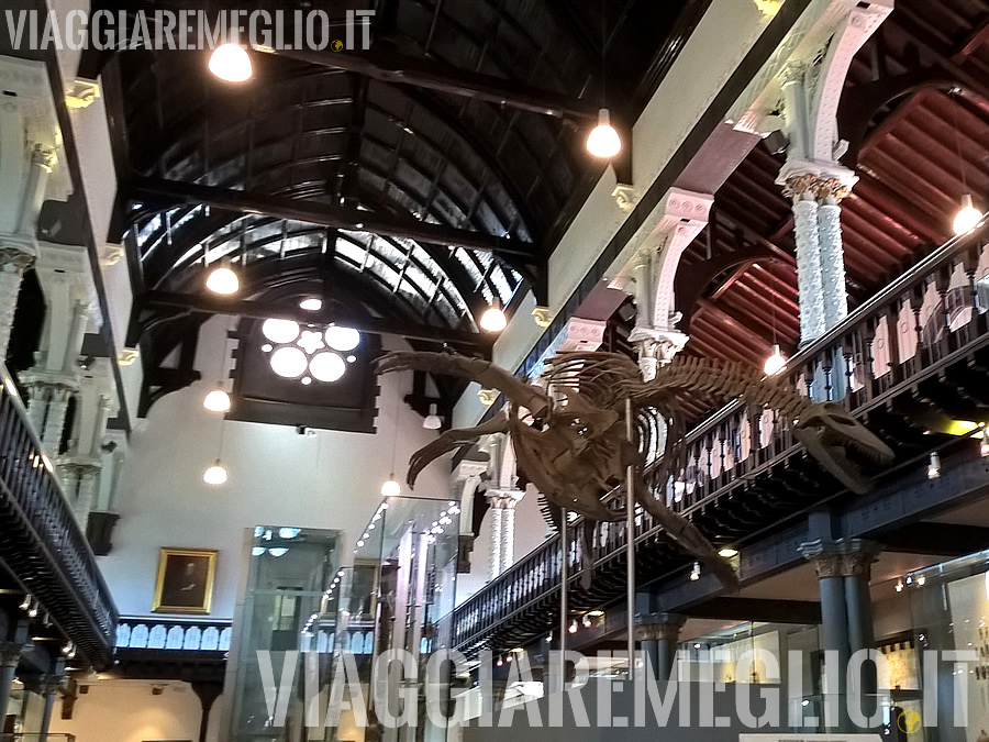 Glasgow Hunterian Museum, Scozia
