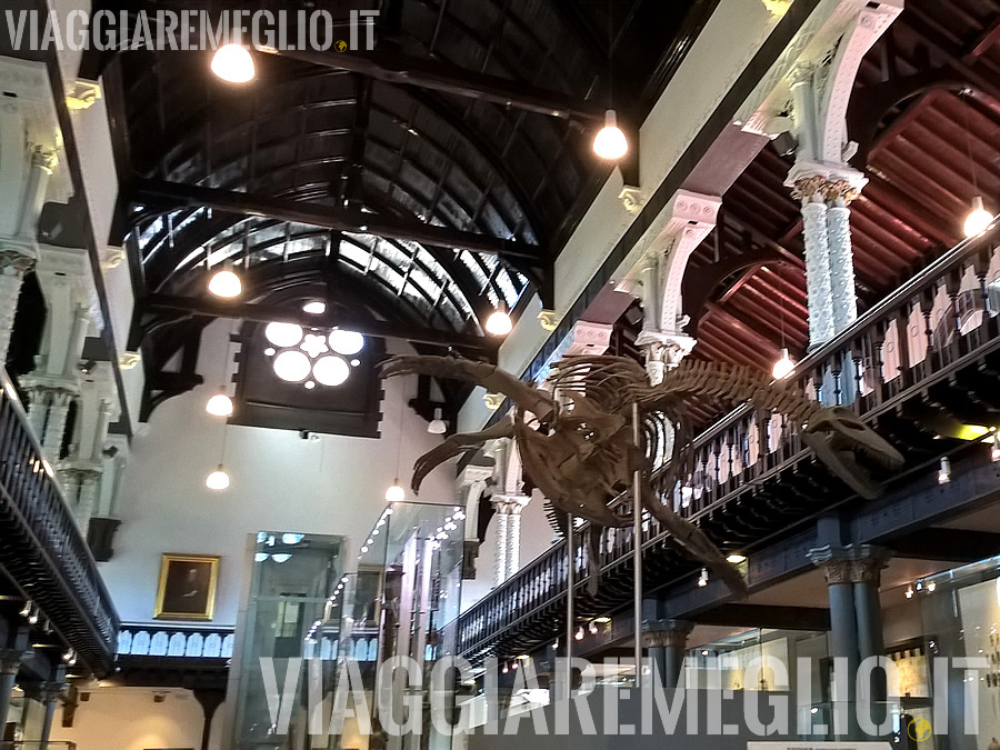 Hunterian Museum, Glasgow