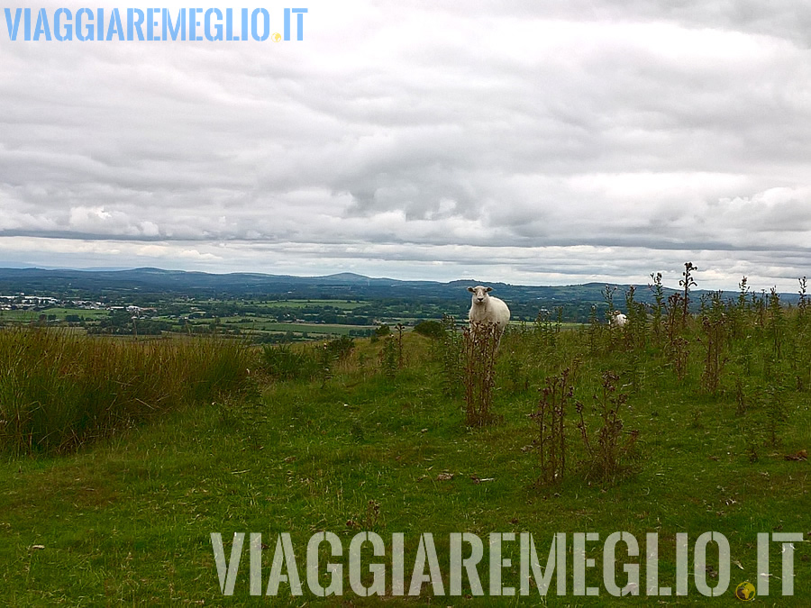 Complesso megalitico Loughcrew, Irlanda