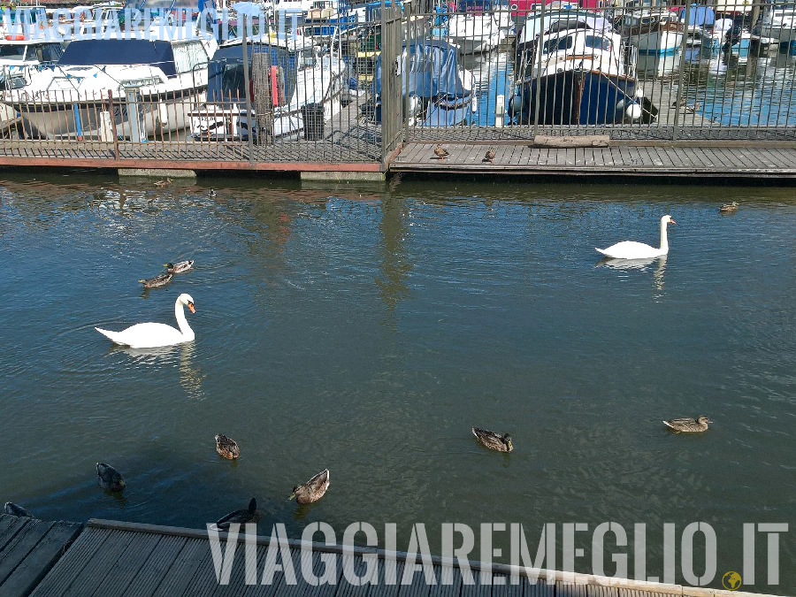 Floating Harbour, Bristol