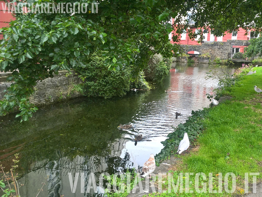 Fiume Corrib - Galway, Irlanda