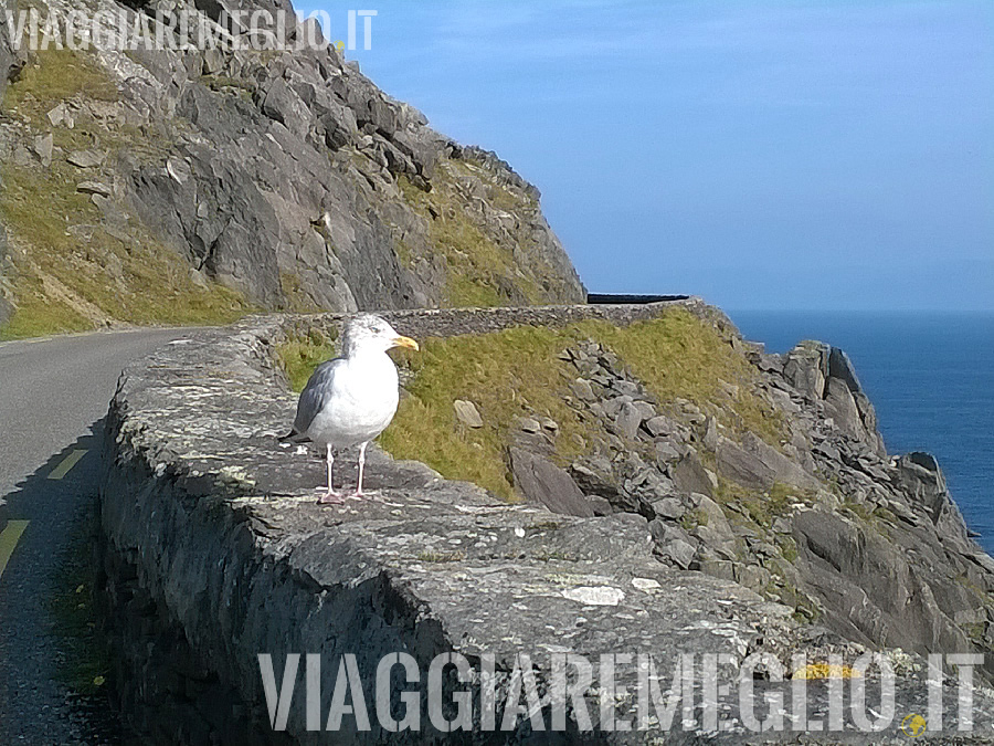 Penisola di Dingle, Irlanda