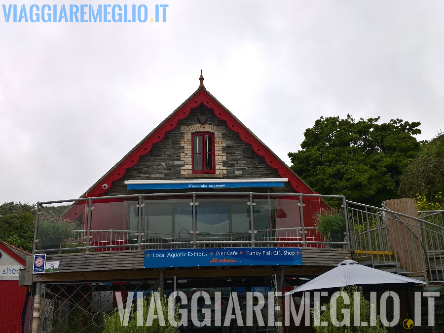 Acquario di Ilfracombe