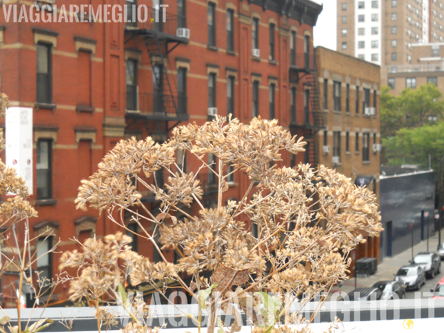 High Line Park, New York