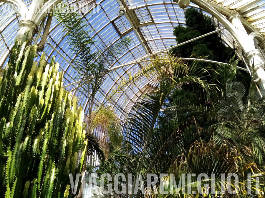 Orto botanico di Belfast, Irlanda del Nord