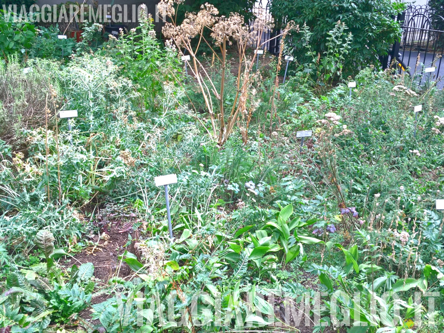 Trinity College Herb Garden