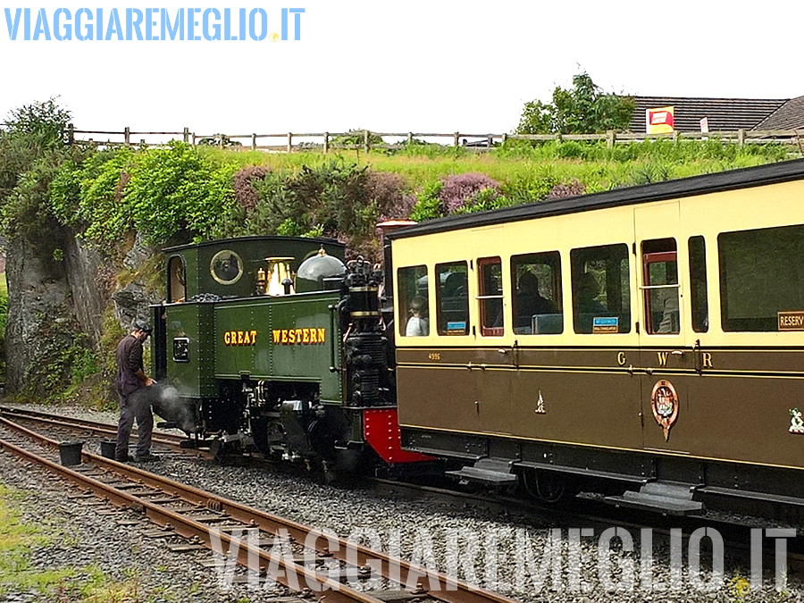 Treno a vapore Vale of Rheidol, Galles